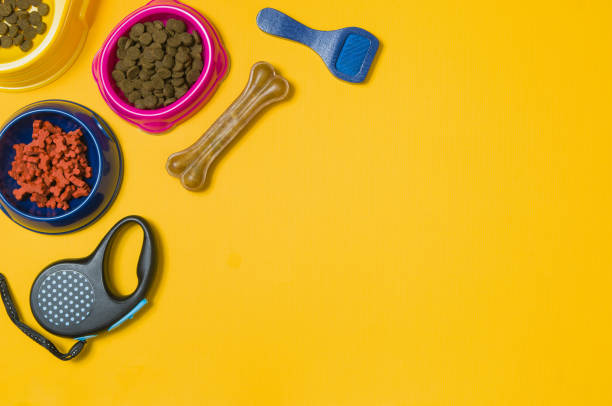 istock Dog food and accessories on yellow background top view 908600072