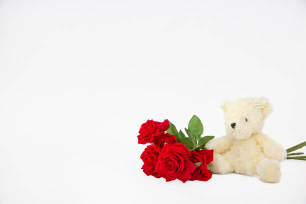 istock Bear doll and roses isolate on white backgorund, Valentine concept 908600944