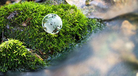 Glass globe on the mossy rock