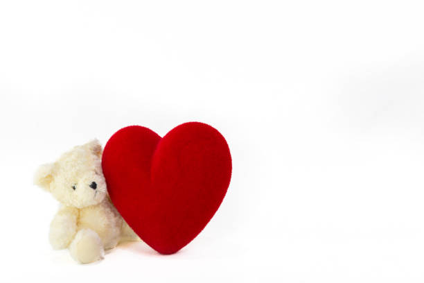Teddy Bear is sitting on white background holding red heart shaped blank card and surround by a red ribbon