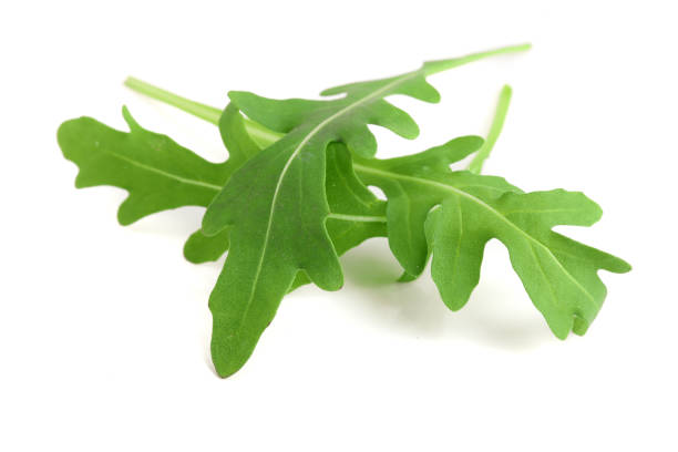 istock Green fresh rucola or arugula leaf isolated on white background macro 908603640
