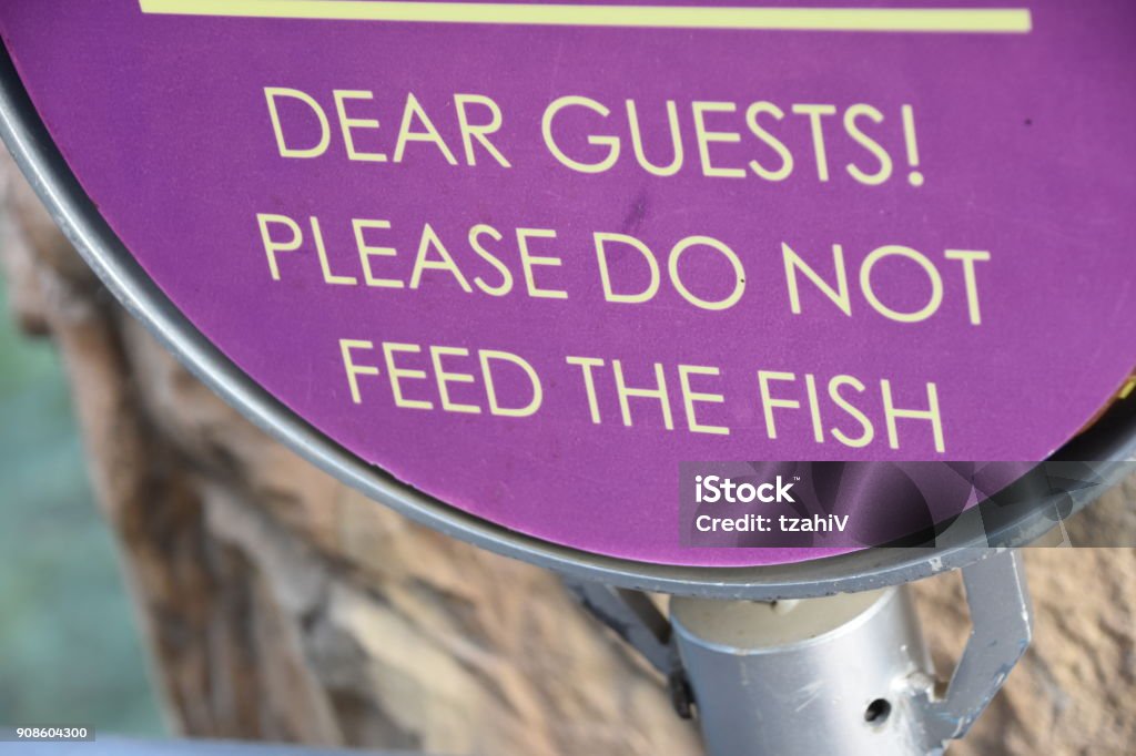 Please Do Not Feed The Fishsign Stock Photo Download Image Now please-do-not-feed-the-fishsign-stock-photo-download-image-now