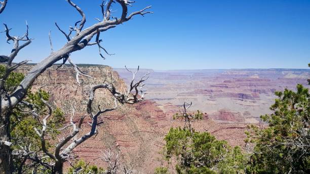 istock Grand Canyon National Park 908604572
