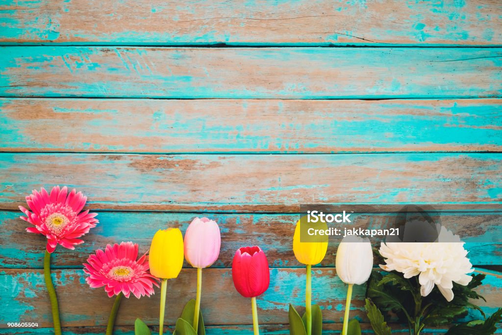 Flower background Colorful flowers on vintage wooden background, top view and border design. vintage color tone - flower of spring or summer background May Stock Photo