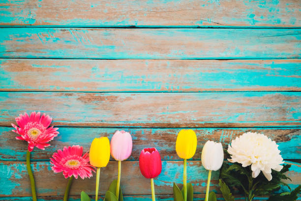 Flower background Colorful flowers on vintage wooden background, top view and border design. vintage color tone - flower of spring or summer background march month photos stock pictures, royalty-free photos & images