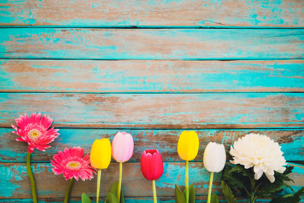 Flower background Colorful flowers on vintage wooden background, top view and border design. vintage color tone - flower of spring or summer background march month stock pictures, royalty-free photos & images