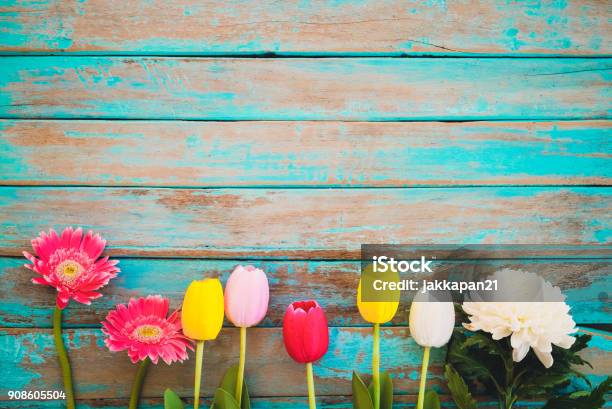 Flower Background Stock Photo - Download Image Now - May, Backgrounds, March - Month