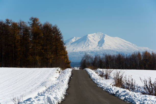 Snow melting road and snowy mountains Mt.Daisetuan Hokkaido Japan larix kaempferi stock pictures, royalty-free photos & images