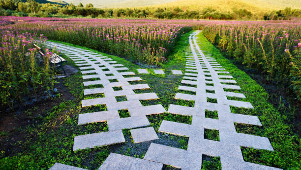 istock Stone forked road in the flower field 908610618