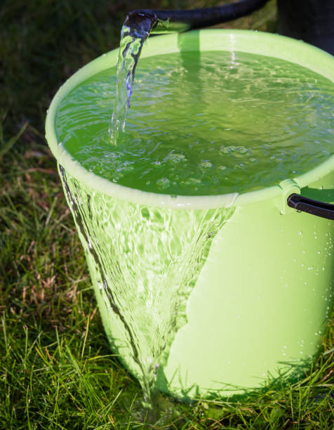 istock Bucket full of water. 908611326