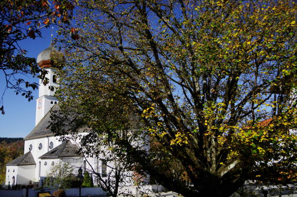 istock Church with onion tower in front of blue sky 908611664