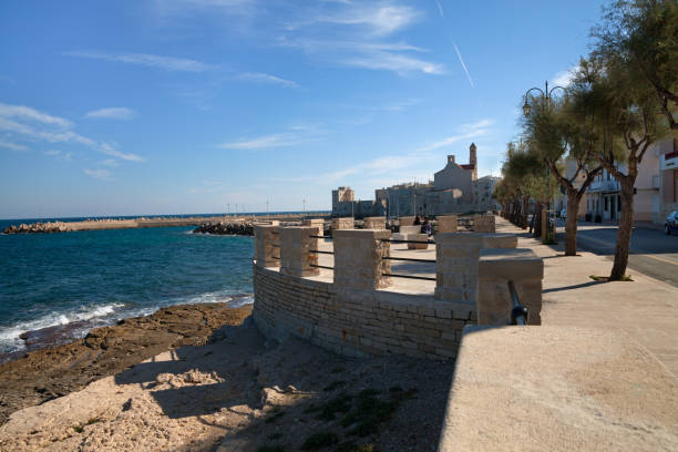 istock Coastline of Giovinazzo. 908613918