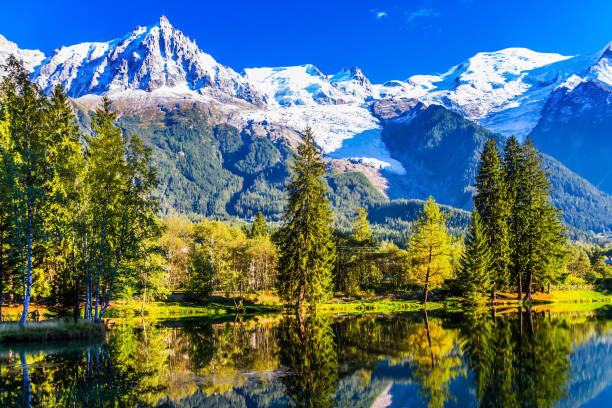 istock The mountain resort of Chamonix 908618998