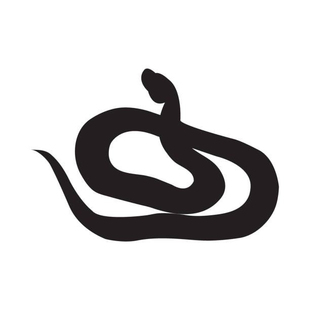 ilustraciones, imágenes clip art, dibujos animados e iconos de stock de silueta de vector de una serpiente - european adder illustrations