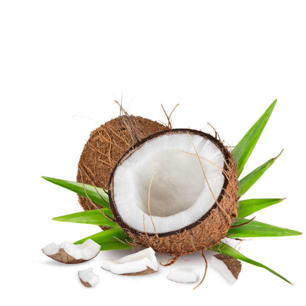 istock close-up of a coconuts on white background 908622302