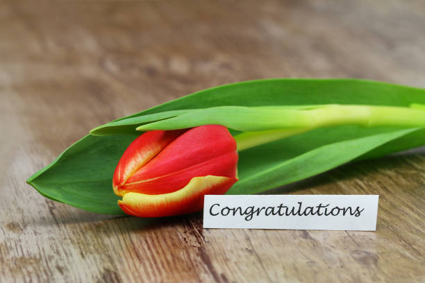 istock Congratulations card with red and yellow tulip on wooden surface 908625846