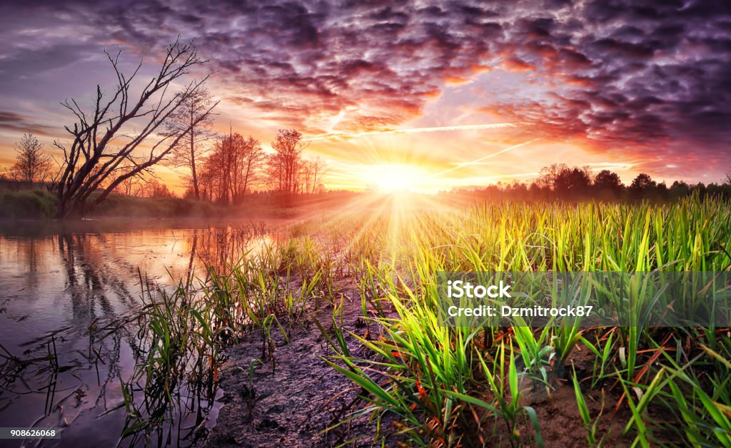 Phong Cảnh Mùa Xuân Của Bình Minh Đầy Màu Sắc Với Bầu Trời Tuyệt Đẹp Trên  Sông Thiên Nhiên Mùa Xuân Hoang Dã Vào Buổi Sáng Những Ánh Nắng Mặt Trời  Sống