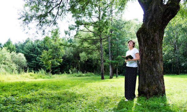 istock Woman reading a book under the tree 908626156