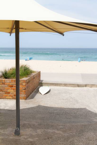 istock beach scene, Bronte , Sydney, Australia 908628858