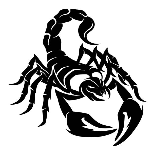 Sign of a black scorpion. vector art illustration