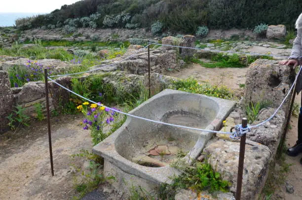 Photo of Archaeological Park of Selinunte, Sicily Italy