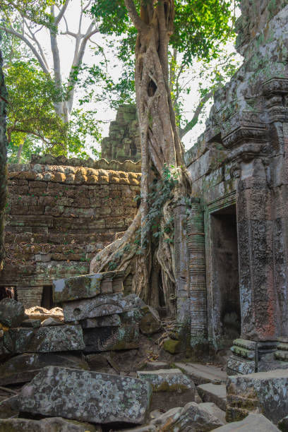 istock Cambodia, Angkor Archaeological Park 908644404