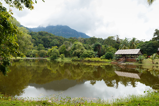 lake in the Kuching to Sarawak Culture village. Borneo, Malaysia