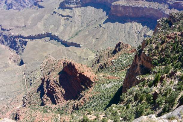 istock Grand Canyon National Park 908651262