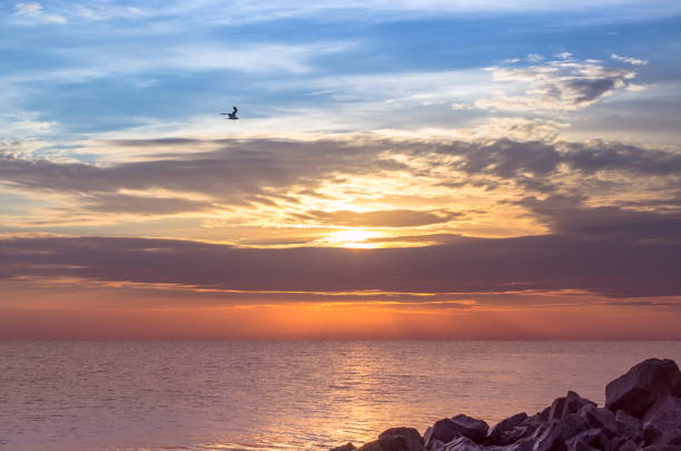 istock granite stones on the seashore, beautiful sky with clouds sunrise. 908651490