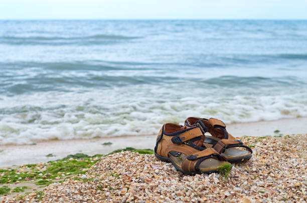 istock sandals on the seashore of seashells, sea green algae. 908651624