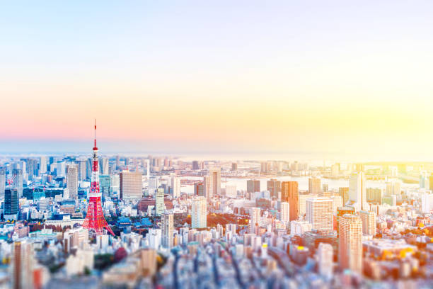 panoramic modern city skyline bird eye aerial view of tokyo with  miniature tilt-shift effect - tokyo tower fotos imagens e fotografias de stock