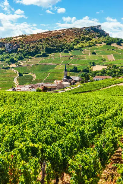 Vineyards around the village of Vergisson with the Roche de Solutre behind, Burgundy, France. The region is famous for its white wines from Chardonnay grapes.