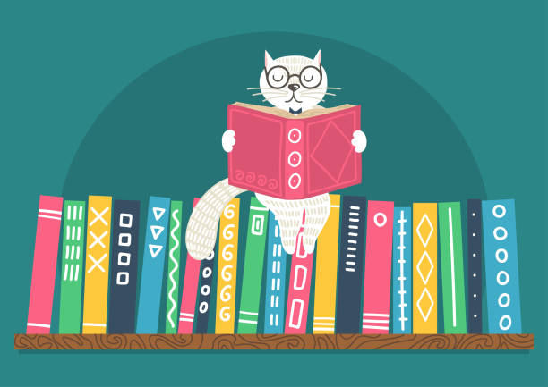 белый кот читает книгу на книжной полке. - book book spine library bookstore stock illustrations