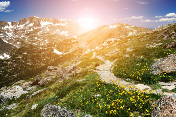 istock Mountain Hiking Trail into the Sun 908674768