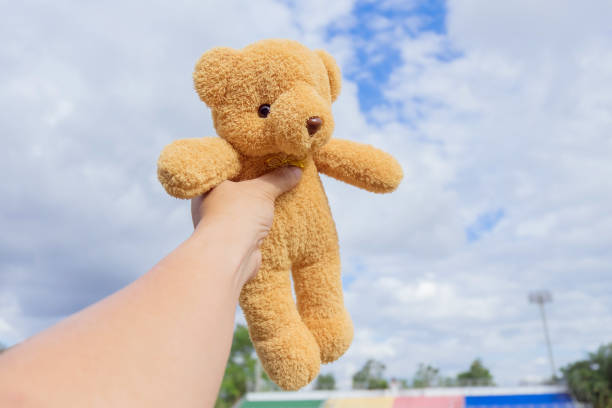 istock bear toy in hand with a blue sky . 908678306
