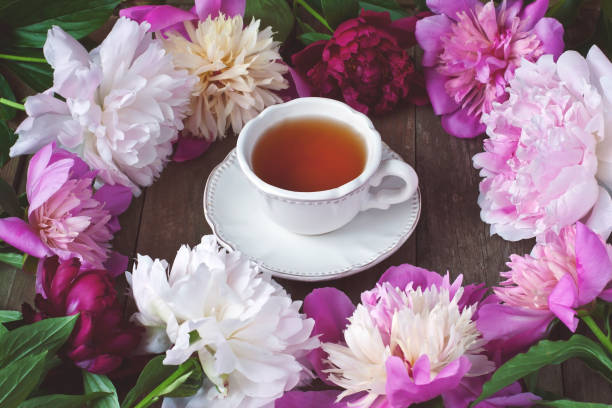 istock Still life with peonies  flowers 908678906