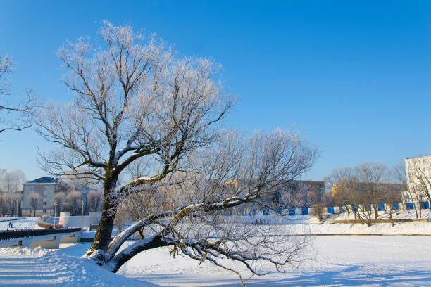 Beautiful winter landscape with the river