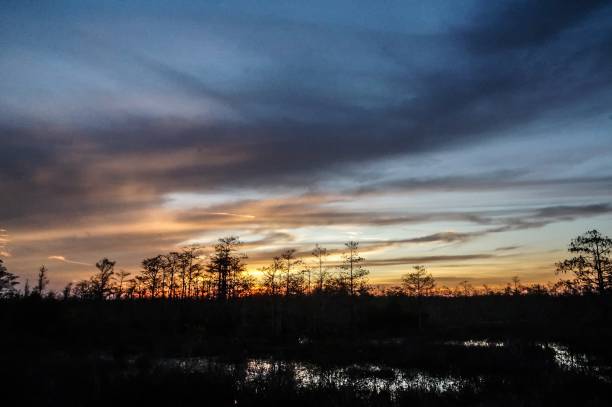 istock sunset in the Louisiana Swamp 908682780