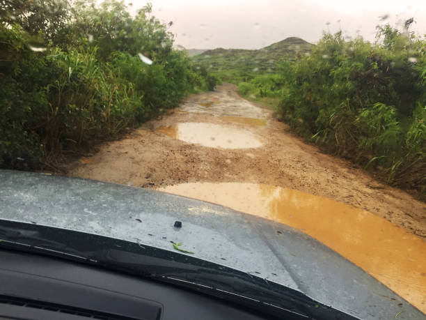 istock Off-roading muddy trail on Kauai, Hawaii 908686410