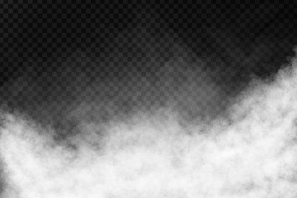 ilustraciones, imágenes clip art, dibujos animados e iconos de stock de vector aislado humo efecto realista sobre el fondo transparente. - niebla