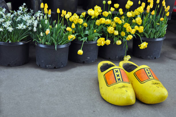 istock Yellow wooden shoes 908689674