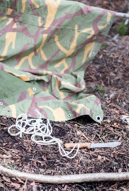 istock Making a Campsite in Forest 908693570