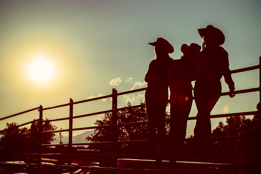 Stock photo of a rodeo audience silhouetted by the late afternoon sun
