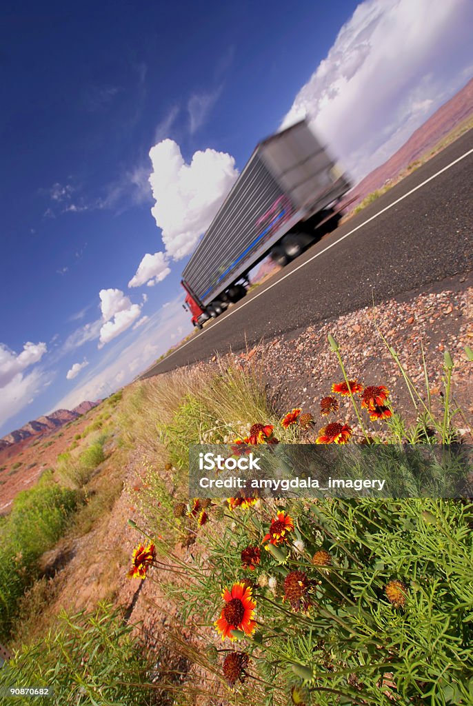 Полевой цветок пейзаж маш�ина - Стоковые фото Автострада роялти-фри
