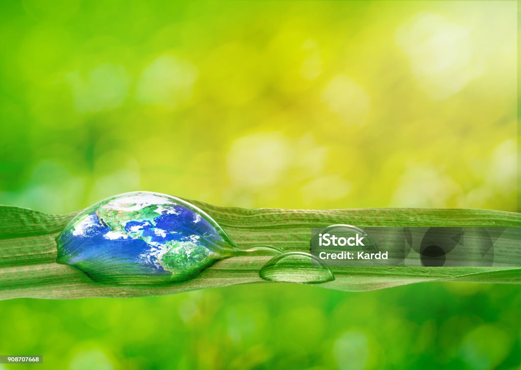 Water is Life Earth in water drop reflection on green grass with soft bright nature blurred background, Earth and Environmental concept , Elements of this image furnished by NASA Care Stock Photo