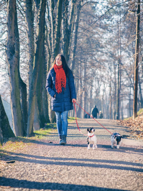 istock Woman out walking two dogs in a park 908708002