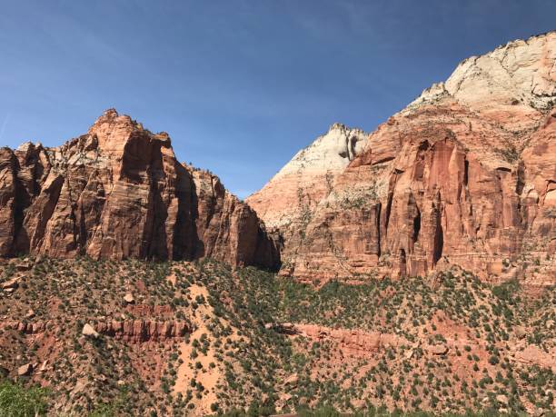 istock Zion National Park in Utah, USA 908708668