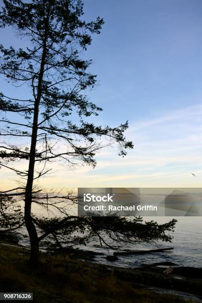 Galiano Island Stock Photo - Download Image Now - Canada, Cold Temperature, Hiking