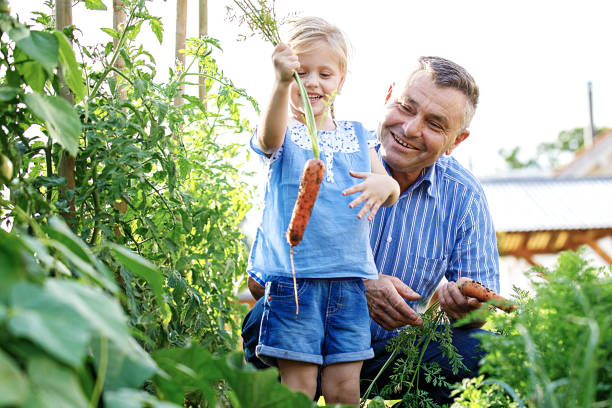 家族 enjoting 雪像 - grandparent gardening child grandchild ストックフォトと画像