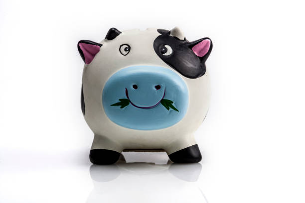 istock Reflection Of Piggy Bank 908726258